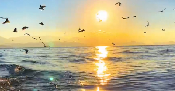 青岛侦探事务所 青岛侦探事务所